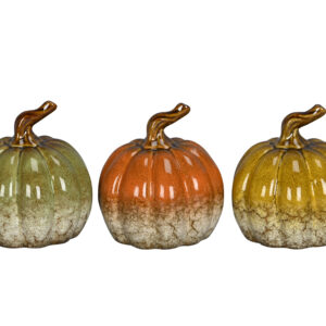 Citrouille en Porcelaine